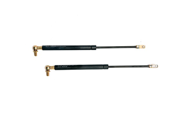 89500 Gas spring set (2 pieces)